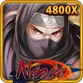 Ninja game icon